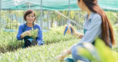 新加坡农业科技
