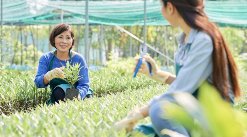 新加坡农业科技