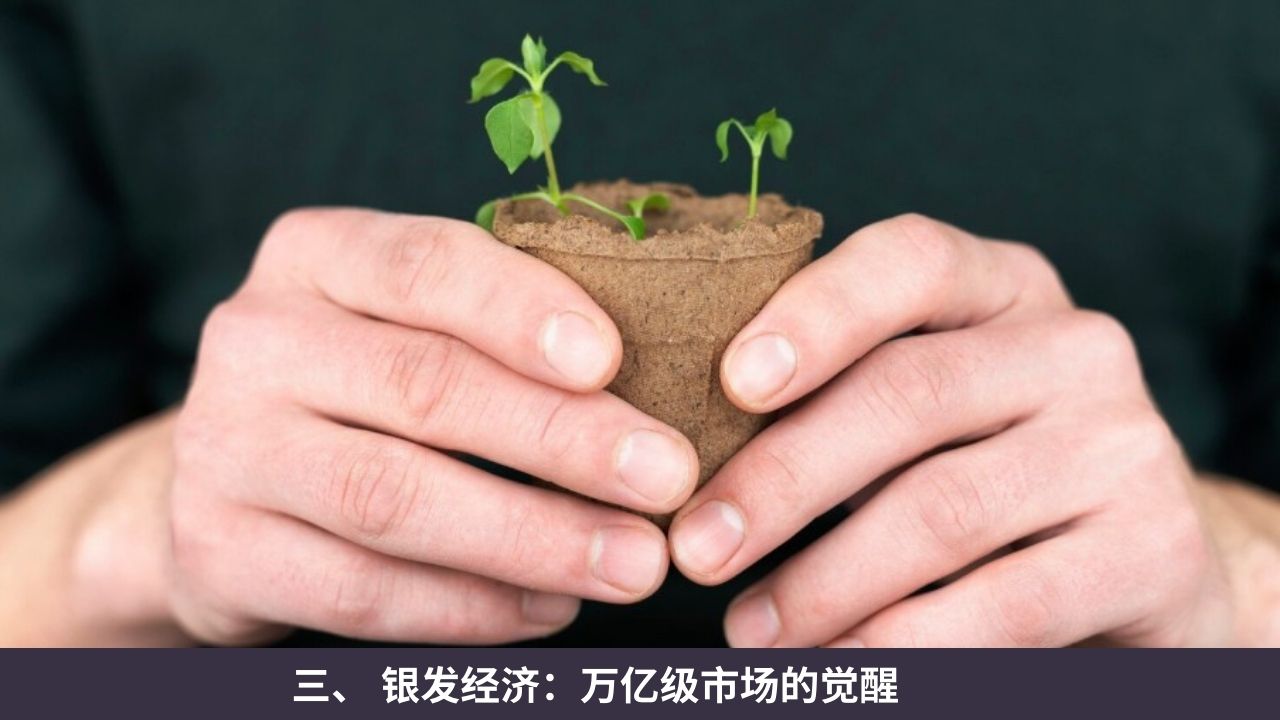 政策与生态：成长的沃土