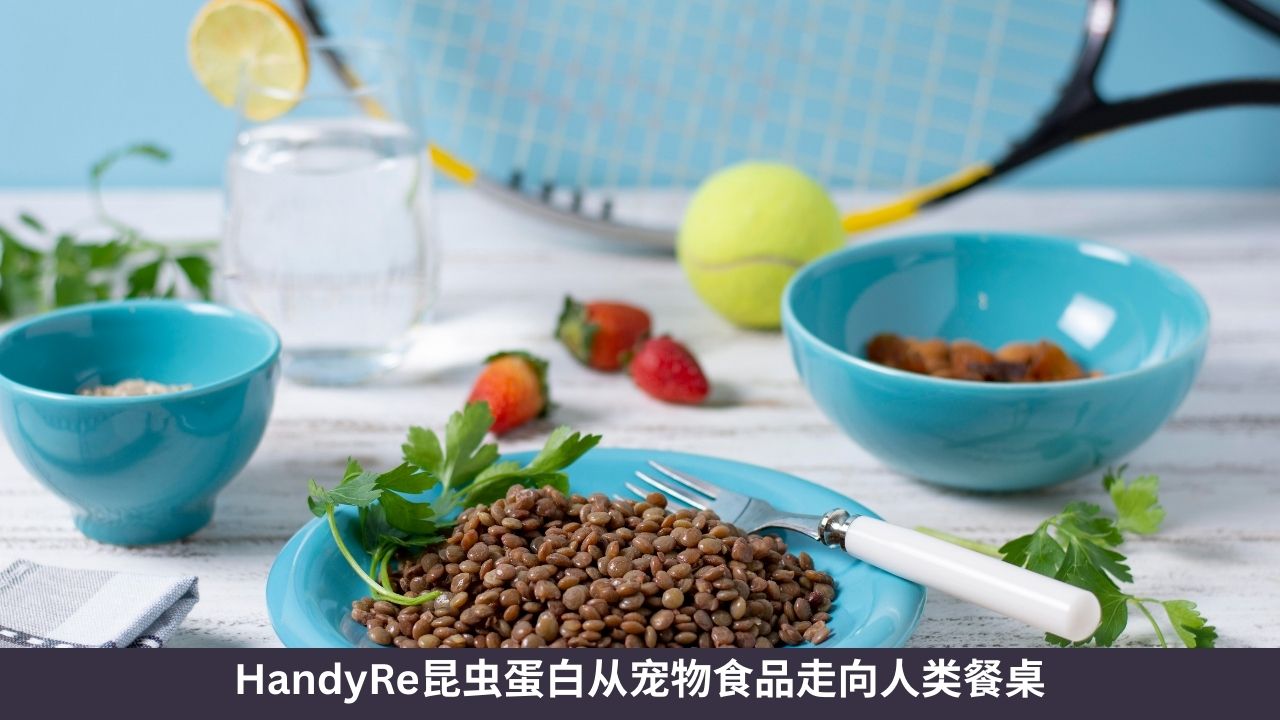 昆虫蛋白从宠物食品走向人类餐桌