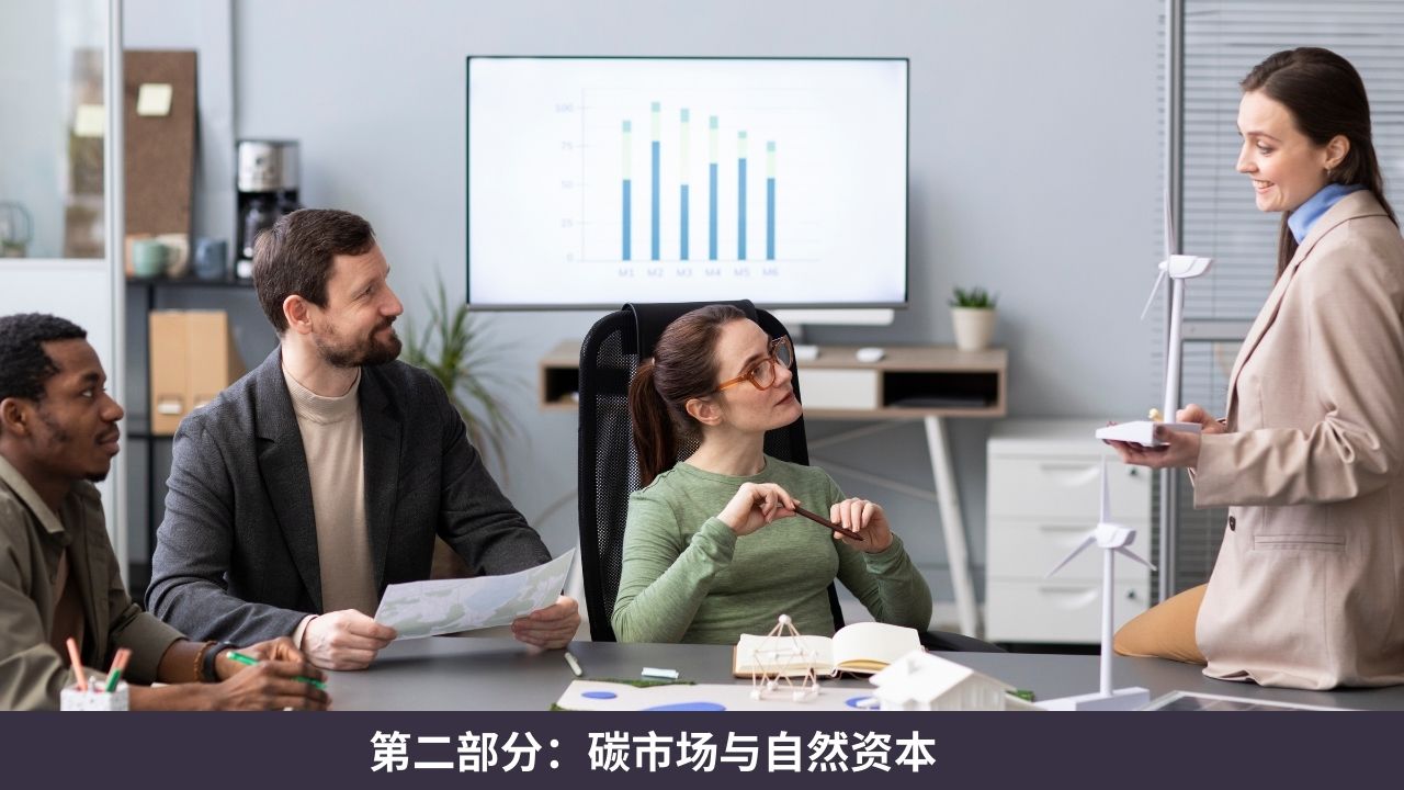 第二部分：碳市场与自然资本