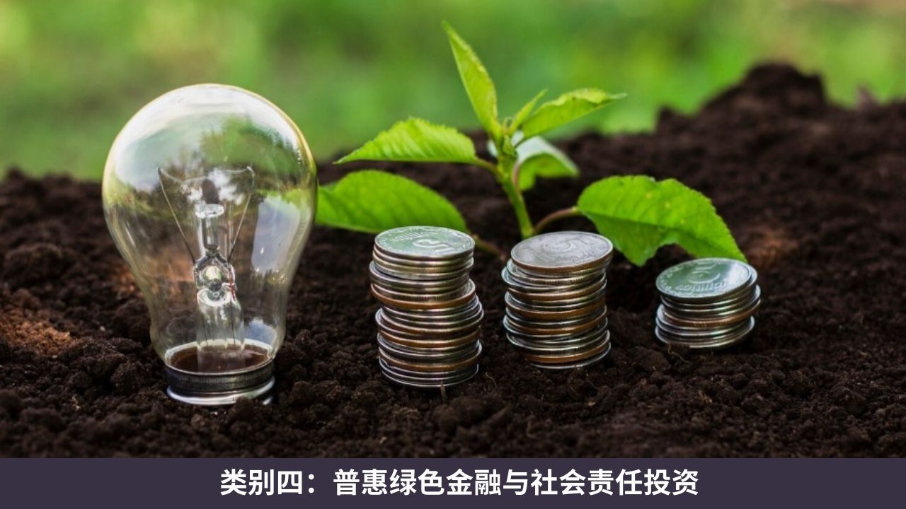类别四:普惠绿色金融与社会责任投资