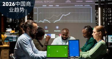 2026中国商业趋势