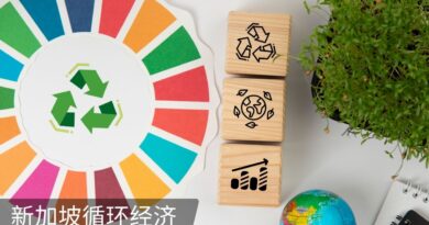 新加坡循环经济