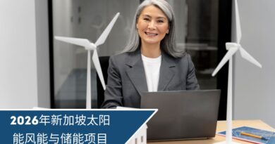 2026年新加坡太阳能风能与储能项目