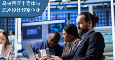 马来西亚半导体与芯片设计领军企业