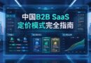中国B2B-SaaS定价策略