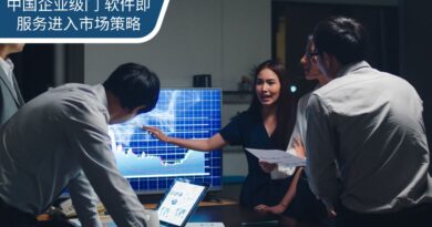 中国企业级门 软件即服务进入市场策略