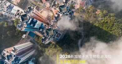 新加坡生物能源与垃圾发电