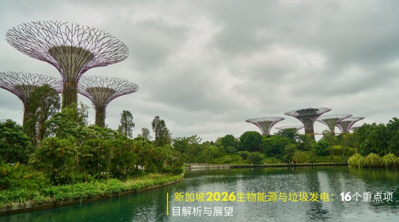 新加坡生物能源项目