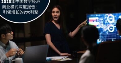 中国数字经济商业模式