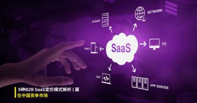 B2B SaaS定价模式
