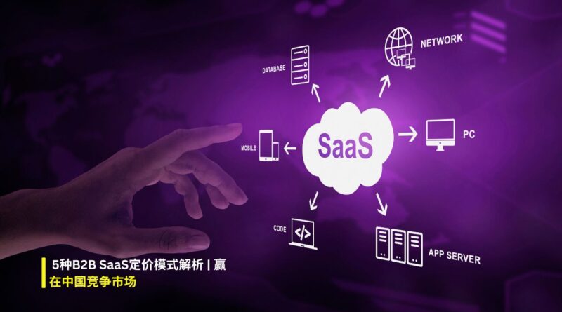 B2B SaaS定价模式