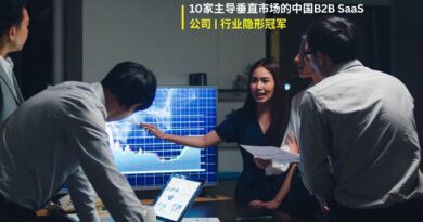 中国B2B SaaS公司