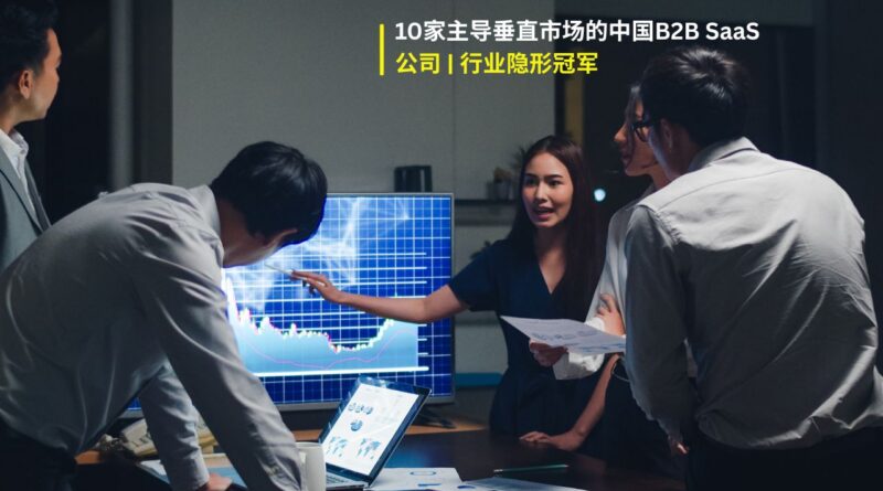 中国B2B SaaS公司