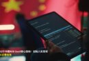 中国B2B SaaS核心指标