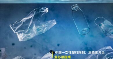 中国一次性塑料限制