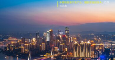 中国新能源汽车产业