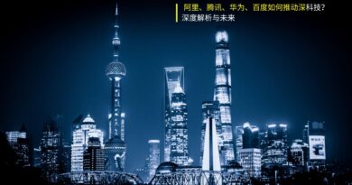 中国深科技发展