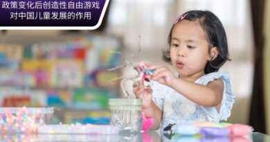 政策变化后，创造性自由游戏在中国儿童发展中的作用