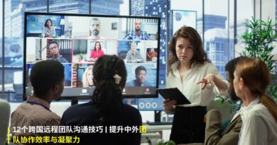 跨国远程团队协作