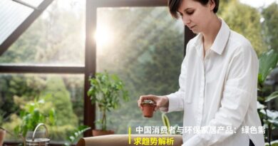 阶段三：低碳制造与生产过程