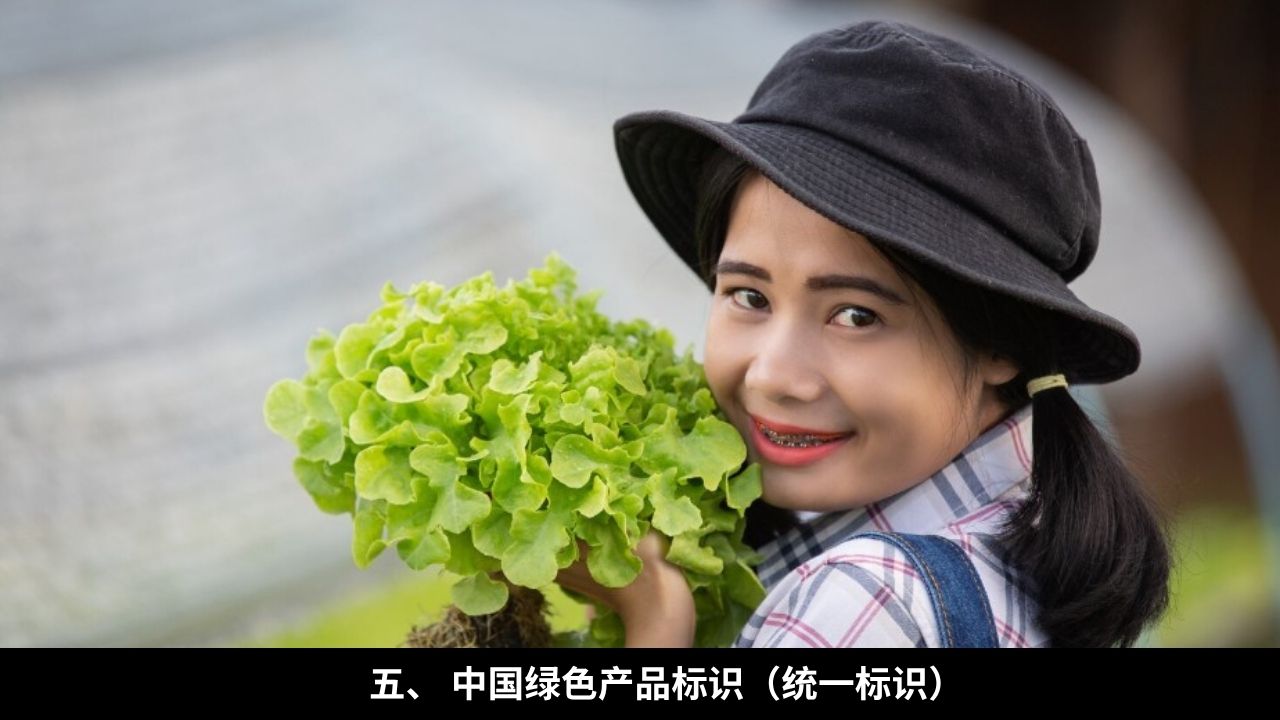 五、 中国绿色产品标识(统一标识)