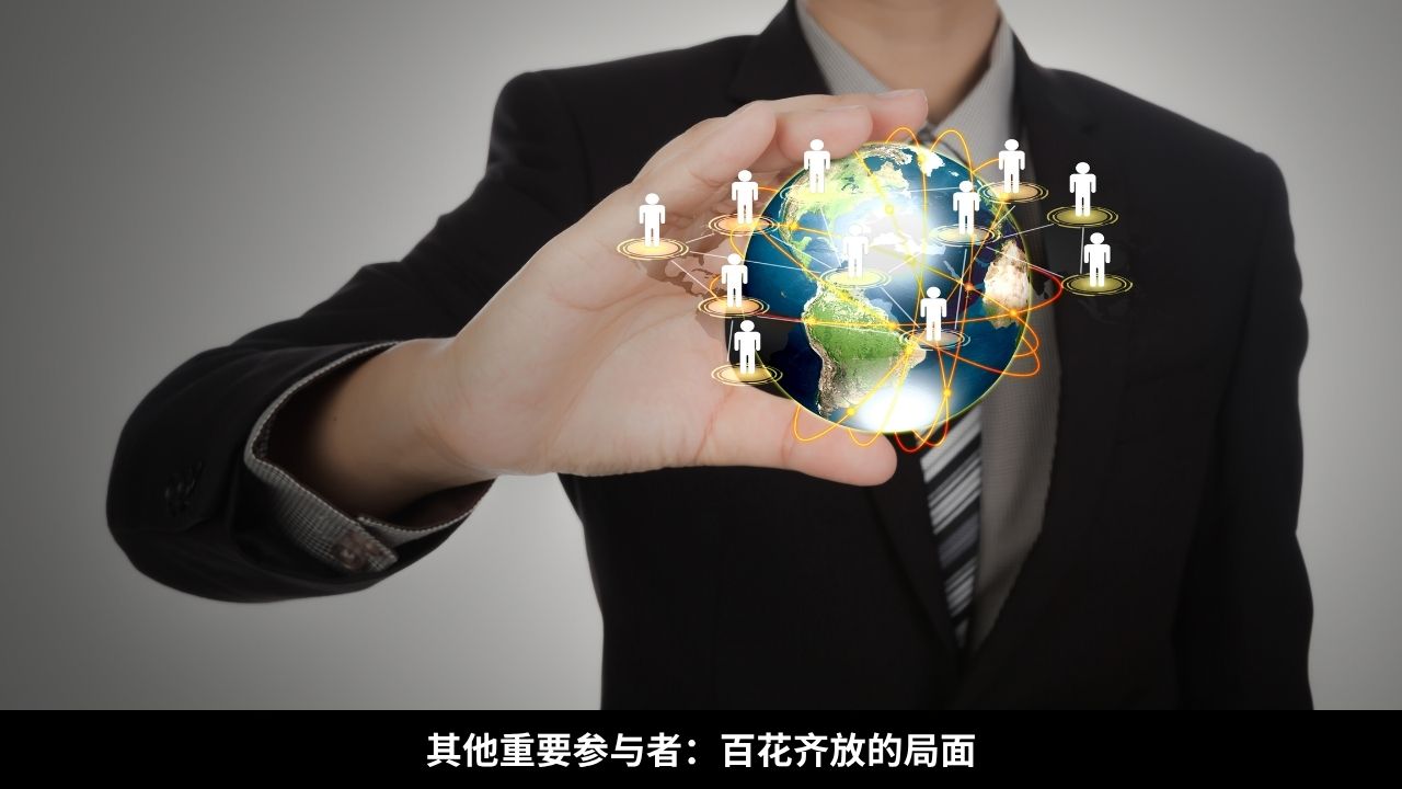 其他重要参与者：百花齐放的局面