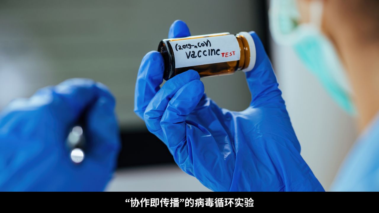 “协作即传播”的病毒循环实验