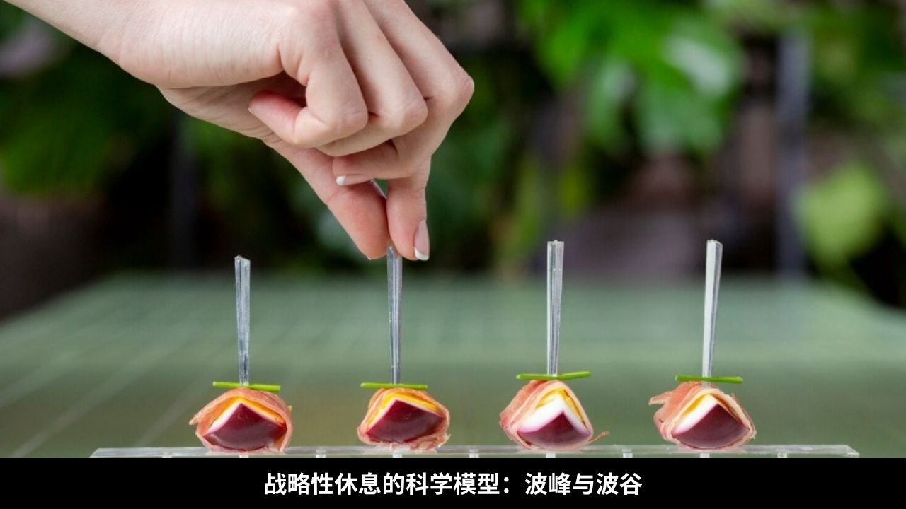 战略性休息的科学模型：波峰与波谷