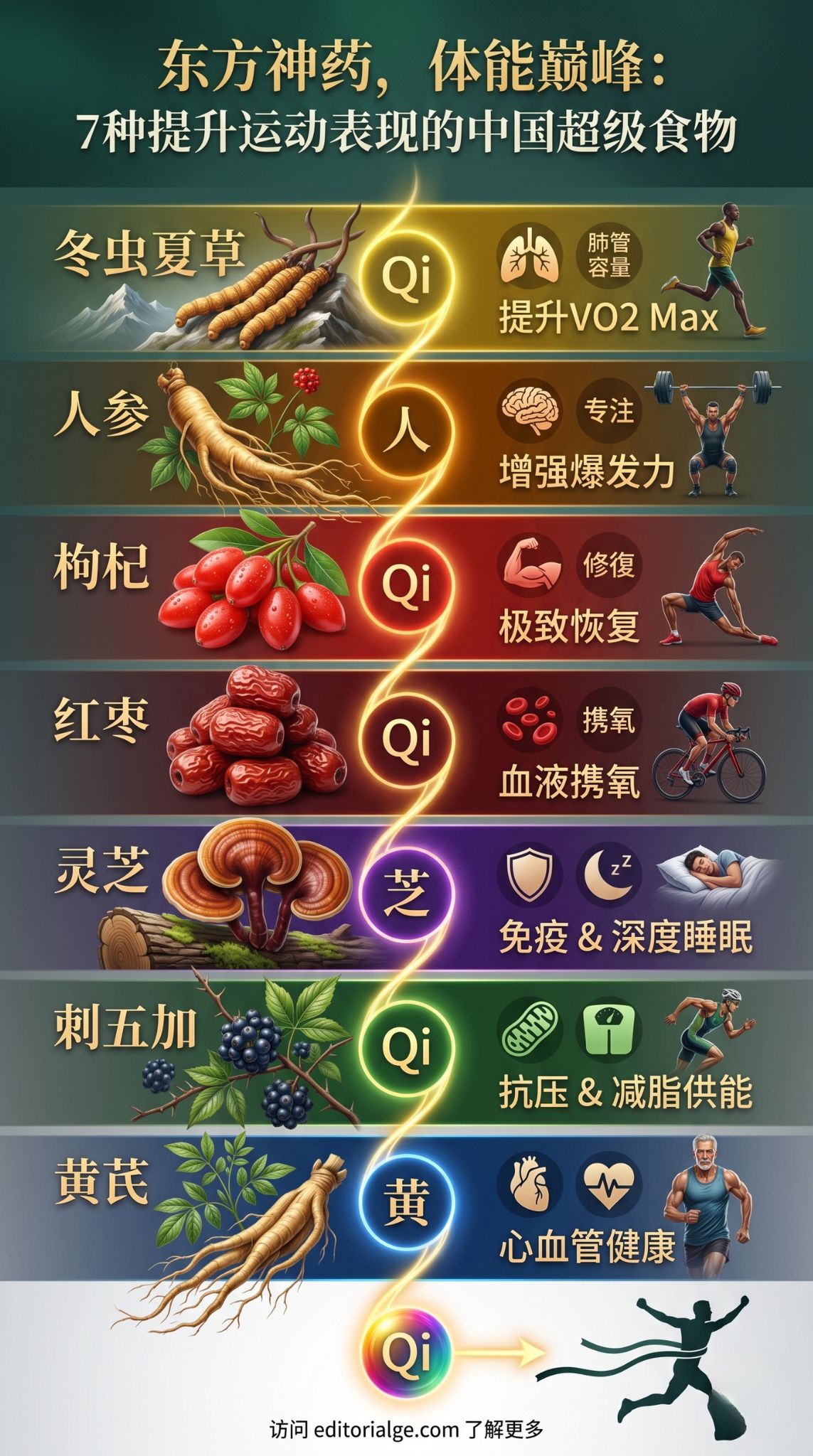 提升运动表现的中国超级食物