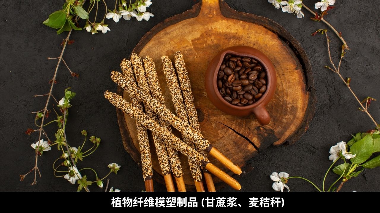 植物纤维模塑制品 (甘蔗浆、麦秸秆)