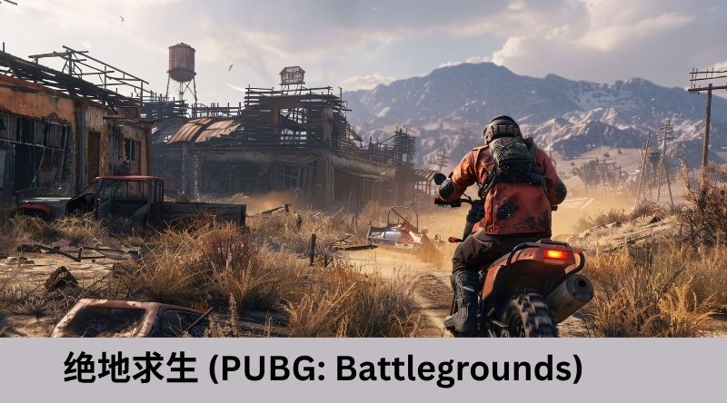 绝地求生 (PUBG Battlegrounds)