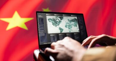 中国大语言模型崛起