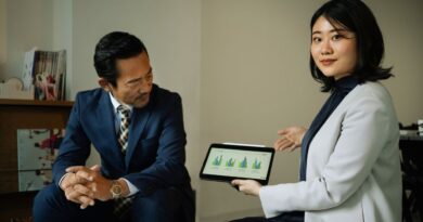 中国远程机构定价策略