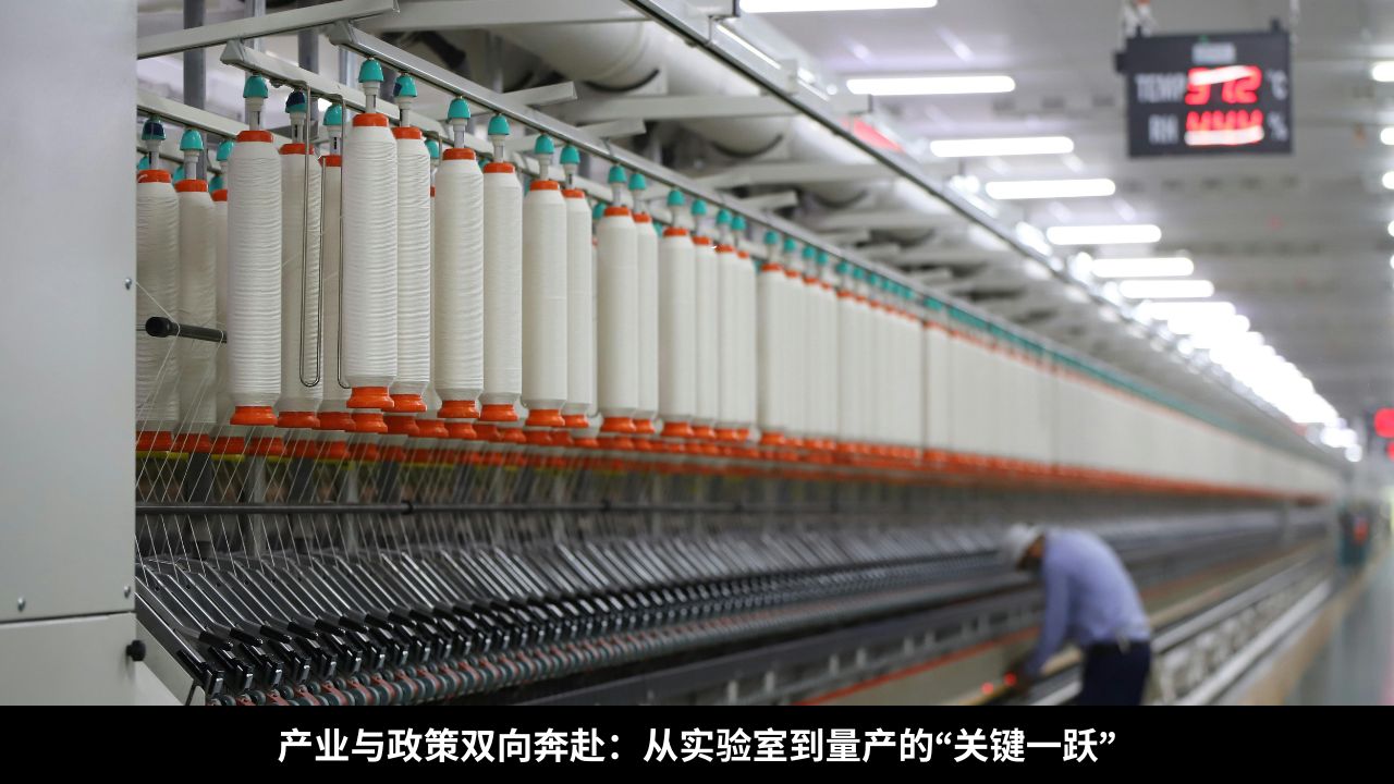 产业与政策双向奔赴:从实验室到量产的“关键一跃”