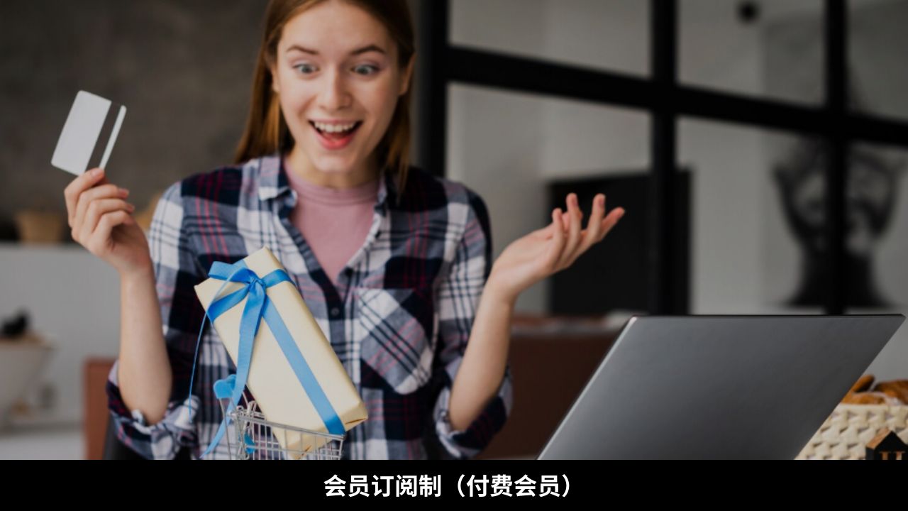 会员订阅制（付费会员）