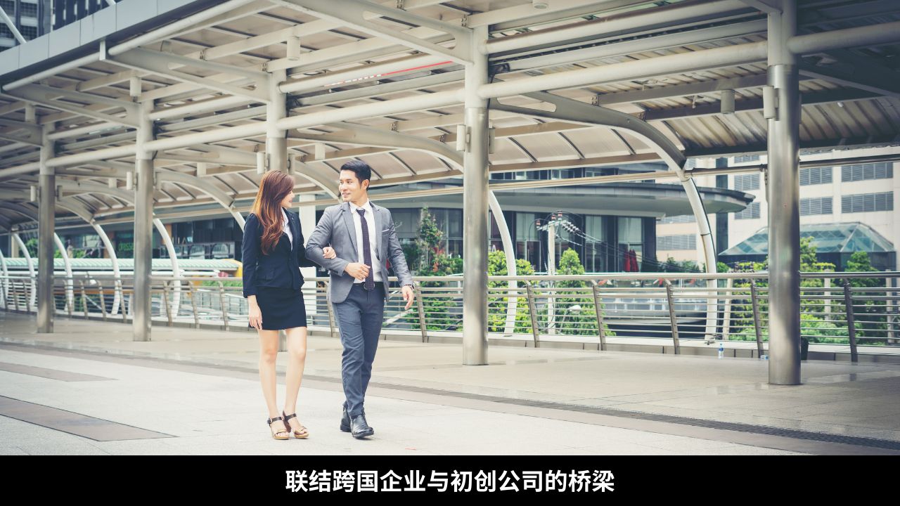 联结跨国企业与初创公司的桥梁
