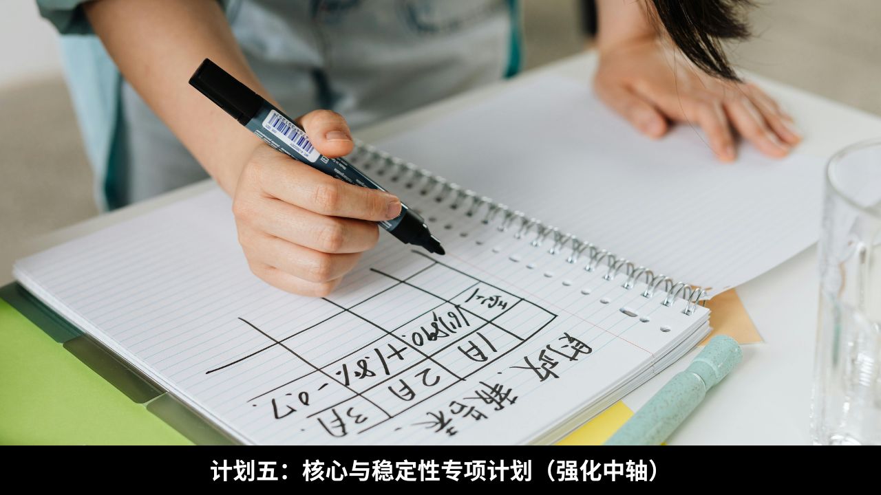 计划五:核心与稳定性专项计划(强化中轴)