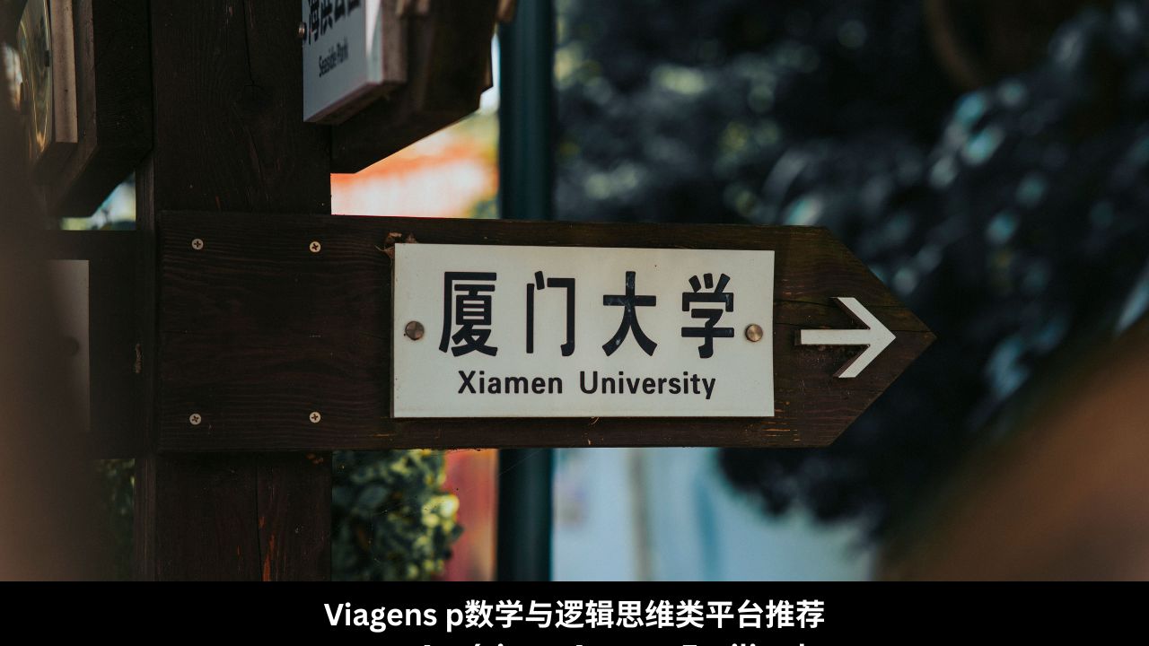 中国游戏化学习平台 (1)