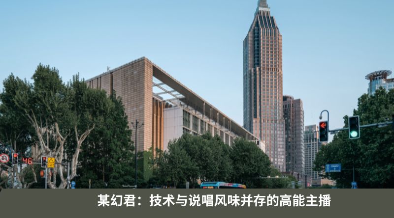某幻君：技术与说唱风味并存的高能主播