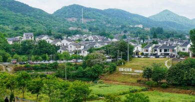 2026年旅游趋势