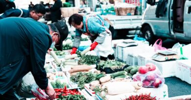 中国可持续食品