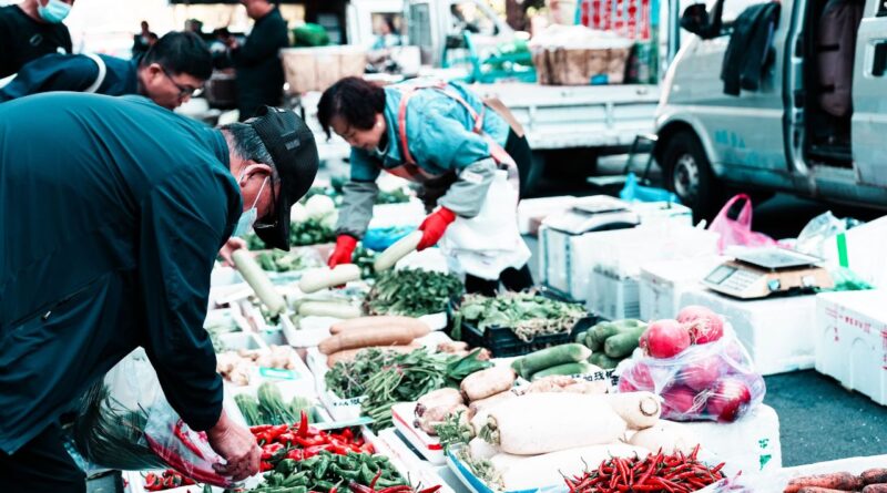 中国可持续食品