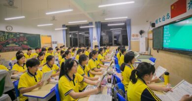 中国游戏化学习平台