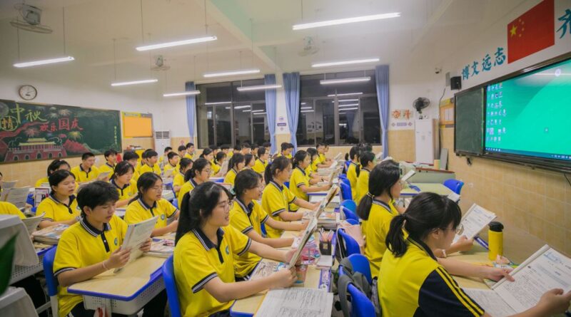 中国游戏化学习平台