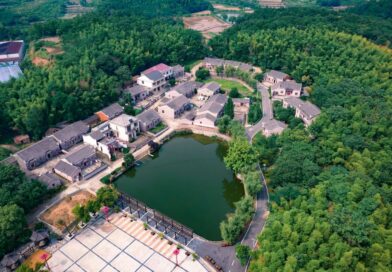 中国游戏化学习平台
