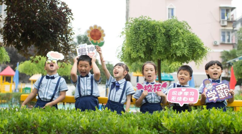 小学生逻辑游戏